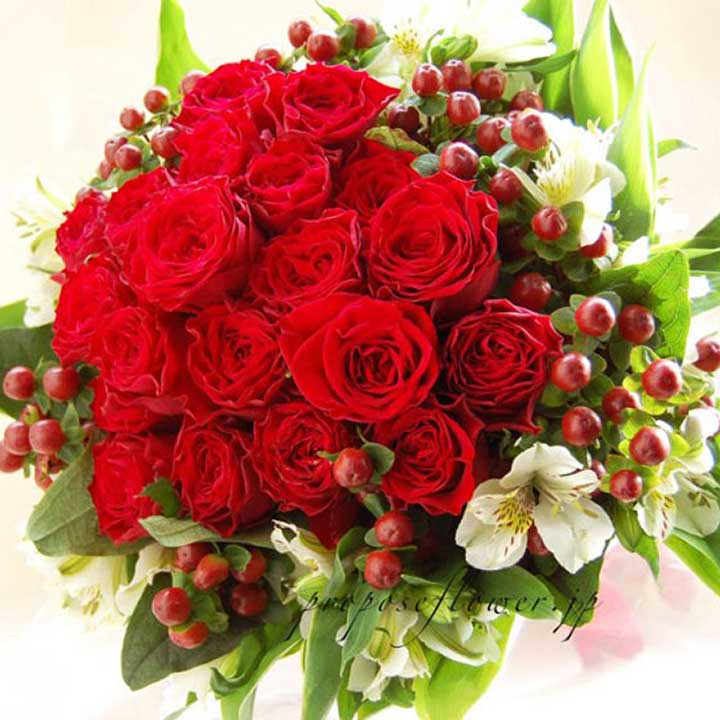 プロポーズ赤いバラ花束